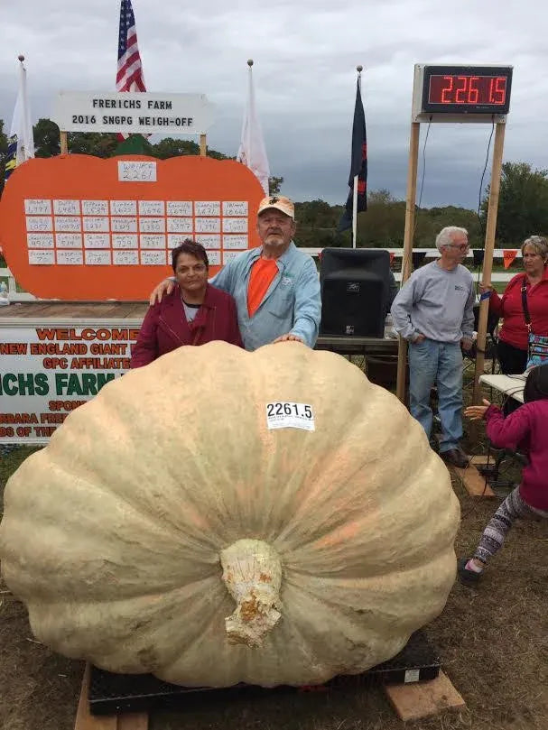 Giant Pumpkin Seeds Wallace's Whoppers