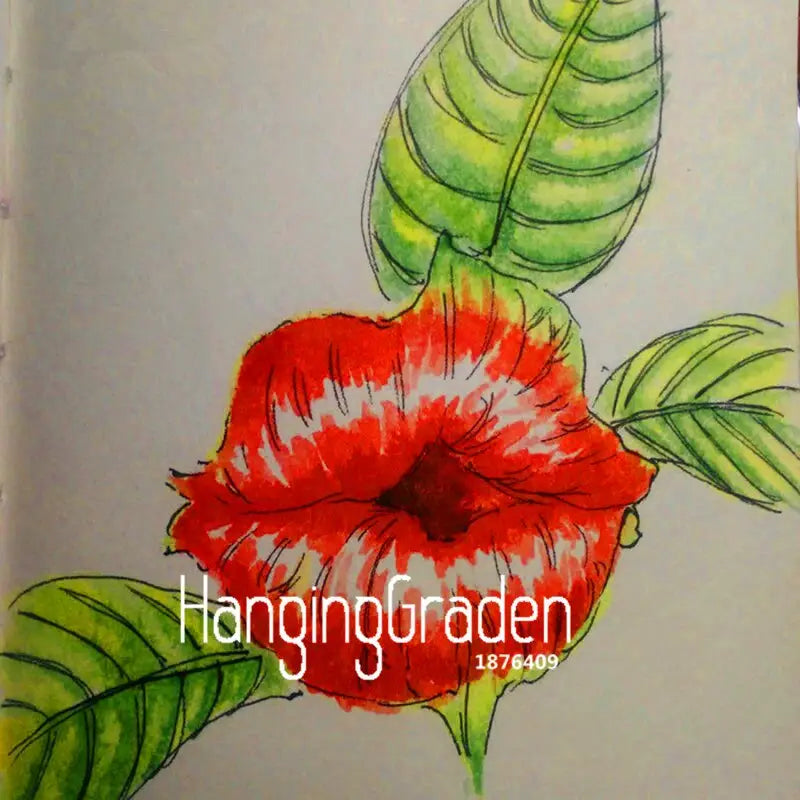 Red Lips Flower Psychotria Seeds