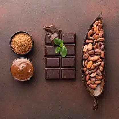 Forastero Cacao Tree (Theobroma cacao) – Live Tropical Cacao Plant