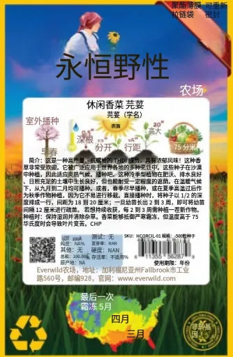 LEISURE CORIANDER CILANTRO SEEDS