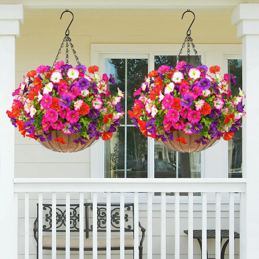 🔥Last Day 60% OFF🔥 Petunias Flowers seeds