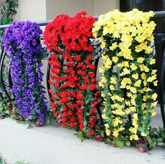 🔥🔥LAST DAY-Graceful Orchid Cascade seeds