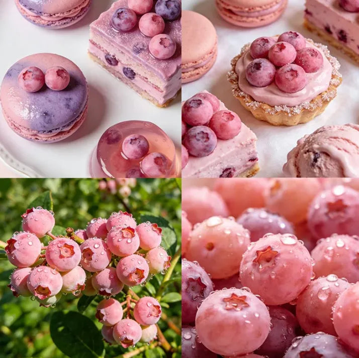 Premium Pink Blueberry SeedsA Uniquely Delightful Taste