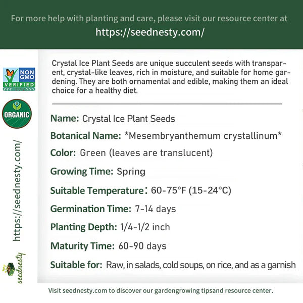Crystal Ice Plant Seeds