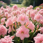 Pink / 🔥🔥6 Bulbs(60% OFF)