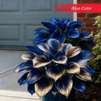 Blue / Set1 (100Seeds - 45Ft²)