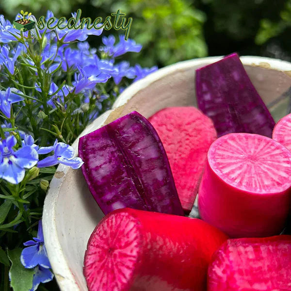 Pineapple Fruit Radish Seeds