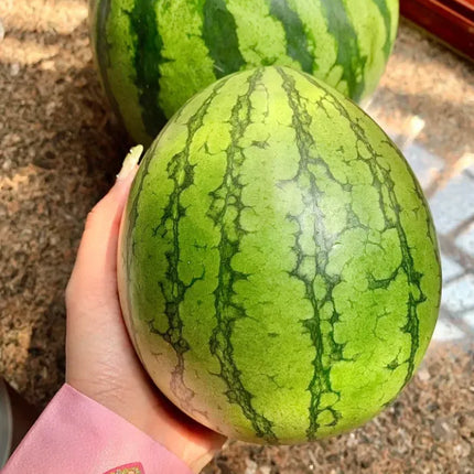 Ruby Watermelon Seeds