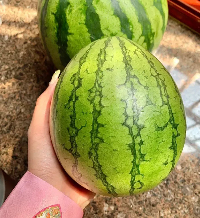 Ruby Watermelon Seeds