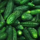 Spacemaster Cucumber Seeds