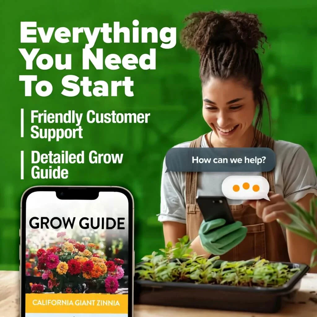 Zinnia Seeds — Fill Your Garden With Endless Summer Blooms
