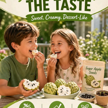 🍐✨Live Sugar Apple Seeds – Sweet Tropical Fruit for Home Gardenarden