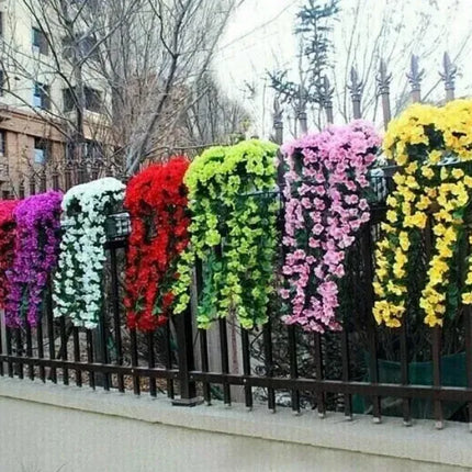 🔥🔥LAST DAY-Graceful Orchid Cascade seeds