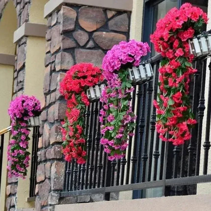 🔥🔥LAST DAY-Graceful Orchid Cascade seeds
