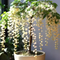 Flower Seeds
