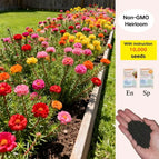 🔥10000 Seeds (40% OFF)