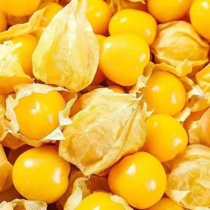 This yellow fruit tastes exactly like egg custard! 🤤