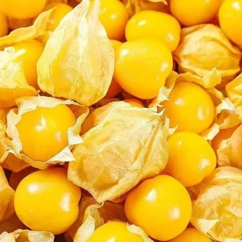 This yellow fruit tastes exactly like egg custard! 🤤