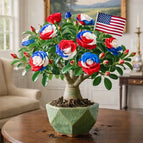 Patriotic color / 2 Bulbs