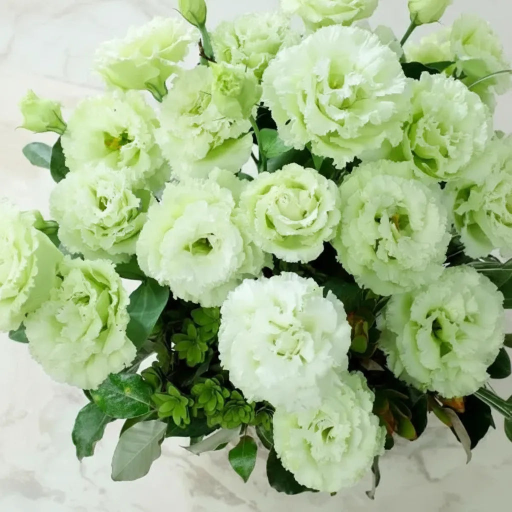 Eustoma Lisianthus Flower Seeds For Garden Blooms