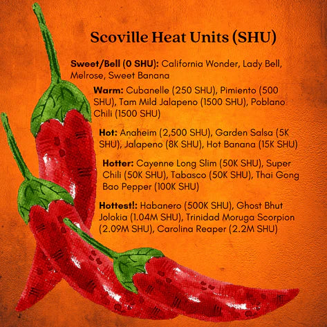 Ghost Bhut Jolokia Pepper |  Live Plants | Non-GMO, High Yield,