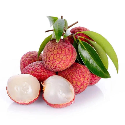 "Sweetheart" Lychee Tree – Potted Sapling of a Tall, Fruit-Bearing Variety