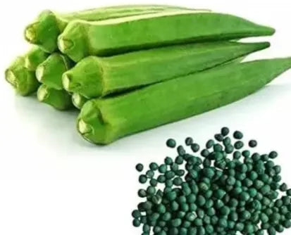 Okra Seeds for Planting  forvegetable patches and home gardens