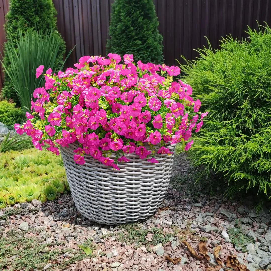 🔥Last Day 60% OFF🔥 Petunias Flowers seeds