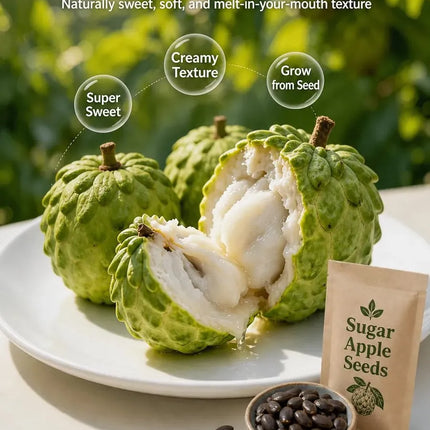 🍐✨Live Sugar Apple Seeds – Sweet Tropical Fruit for Home Gardenarden