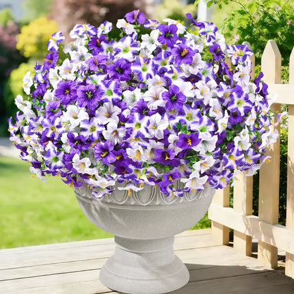 🔥Last Day 60% OFF🔥 Petunias Flowers seeds