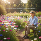 🌱Premium Cornflower Seeds - The