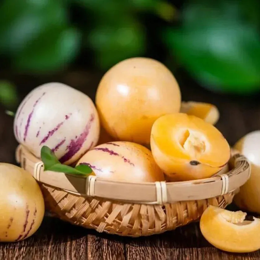 Ginseng Fruit