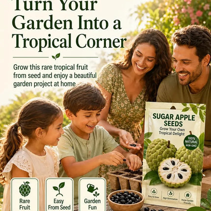 🍐✨Live Sugar Apple Seeds – Sweet Tropical Fruit for Home Gardenarden