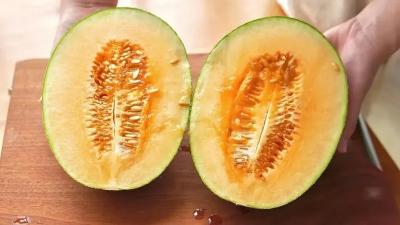 Hami Melon Seeds Summer Fruit Seeds