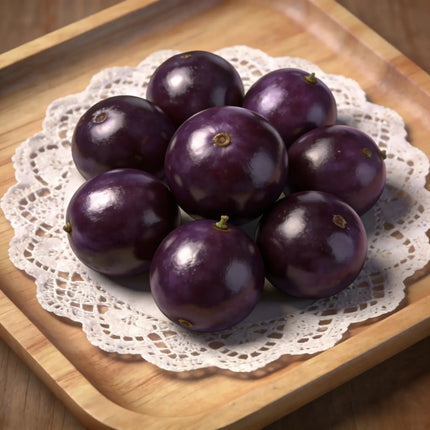 Jaboticaba Exotic Fruit Plant  forHome Garden