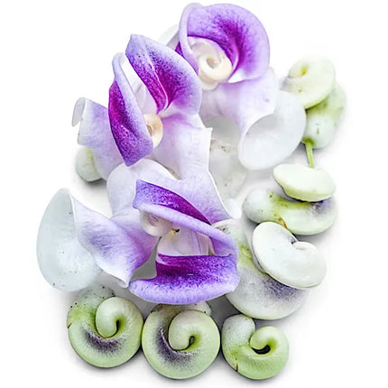 🐌 The Flower That Looks Like Tiny Snails